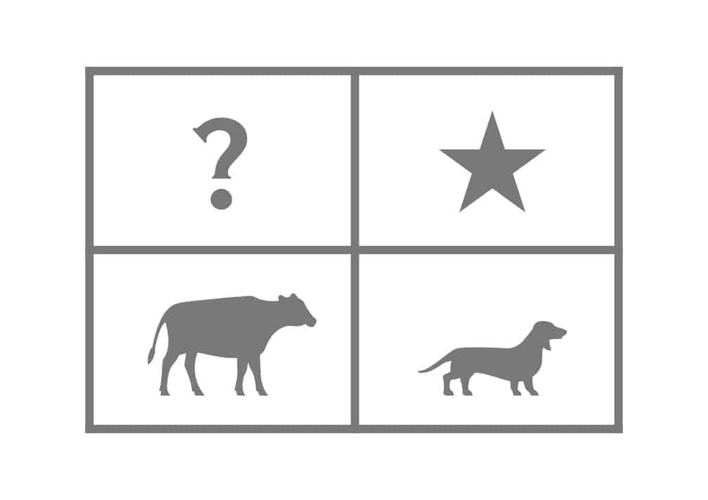 BCG-Matrix