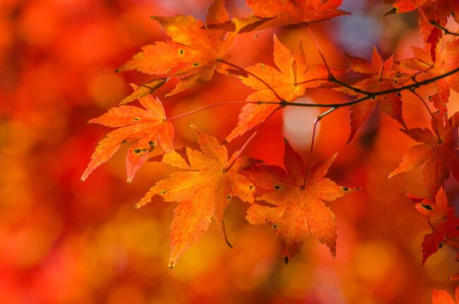 erfahrungswissen_blog