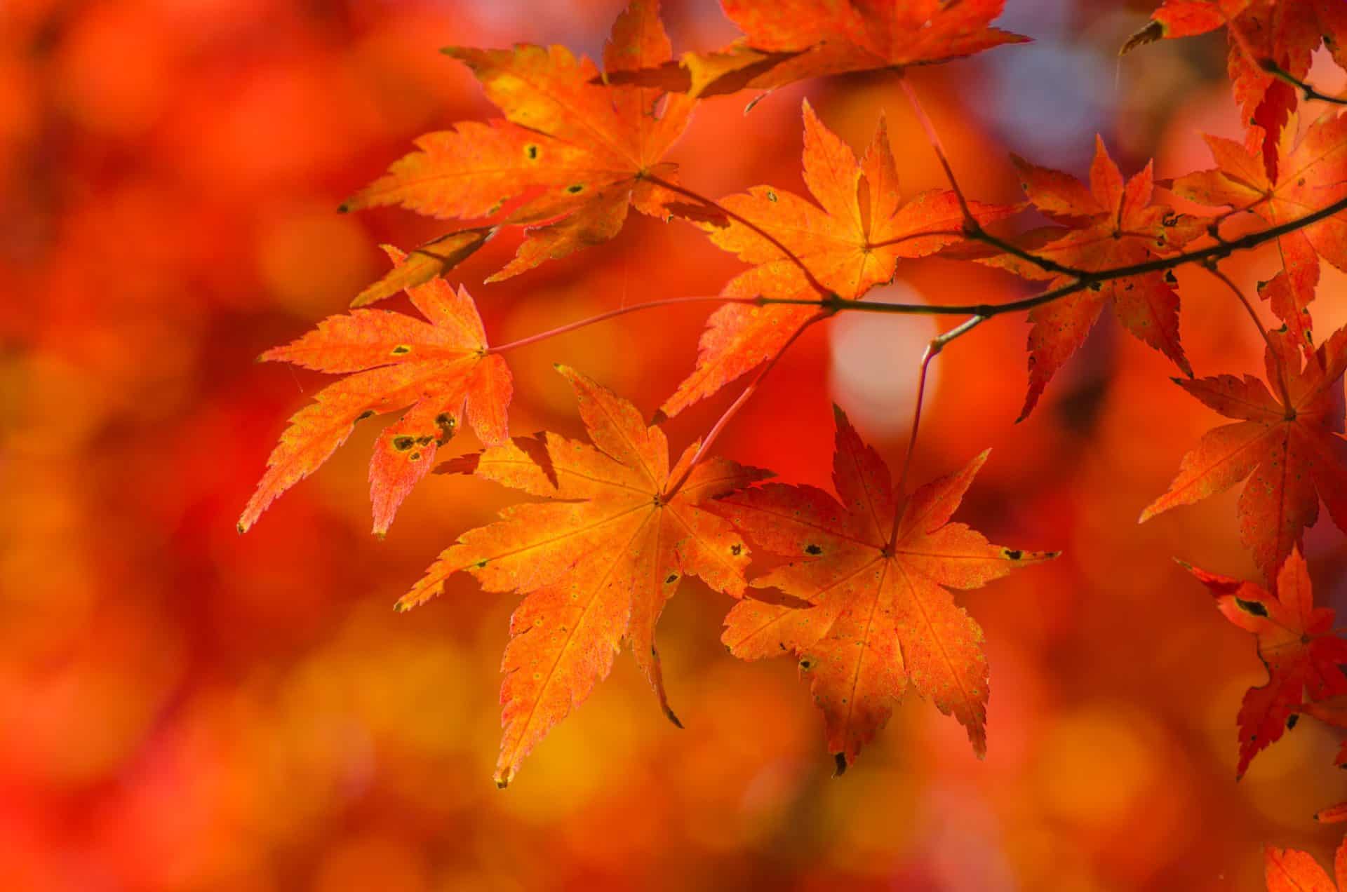 erfahrungswissen_blog