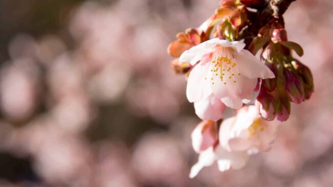 produktentwicklung produktentwicklung